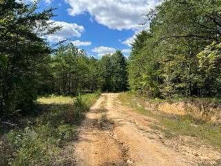 668 Acres of Recreational Land with Home for Sale in Menlo, Georgia