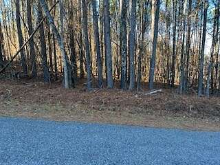 0.84 Acres of Residential Land for Sale in Leesburg, Alabama