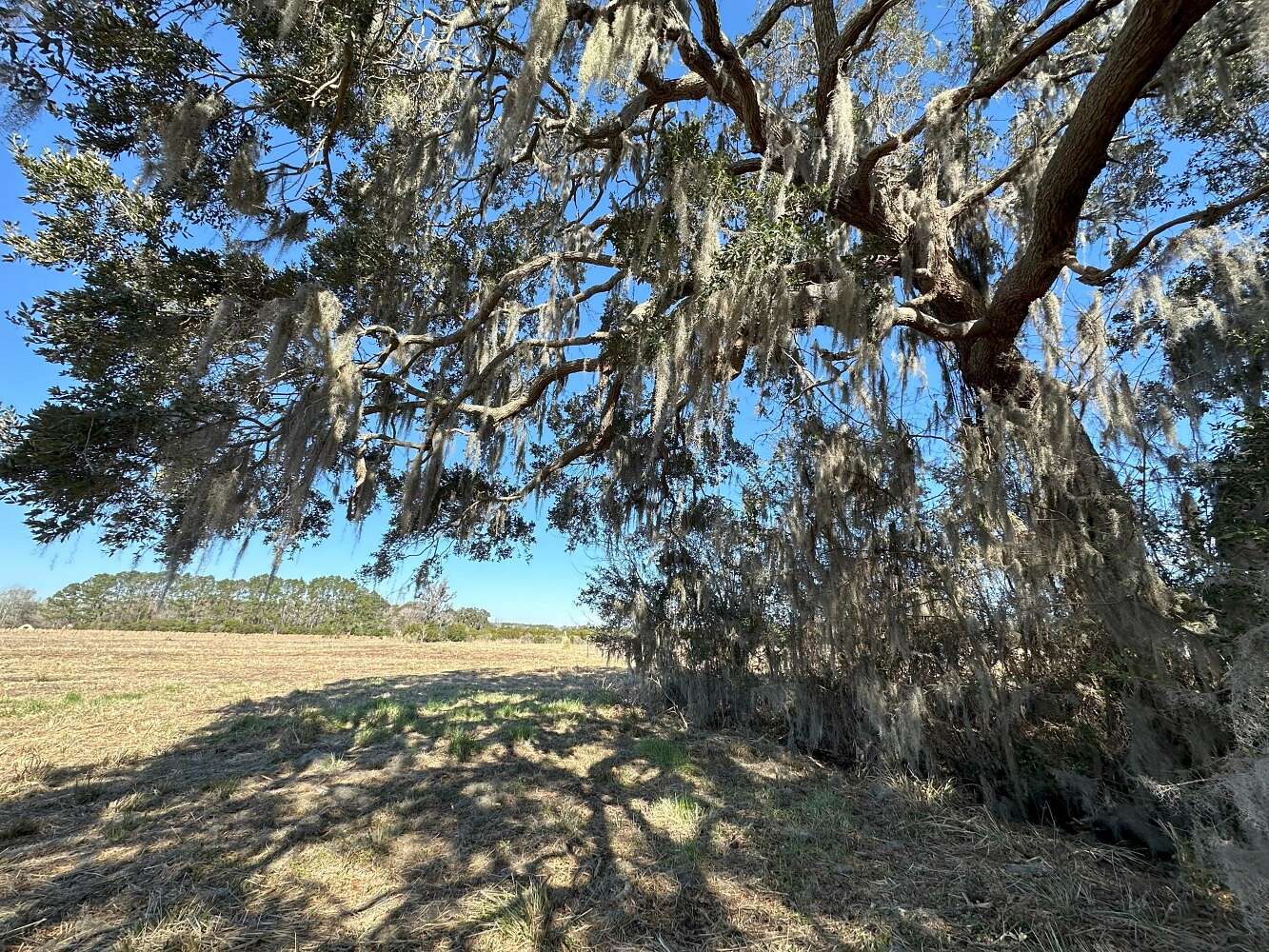 14.3 Acres of Land for Sale in Meggett, South Carolina