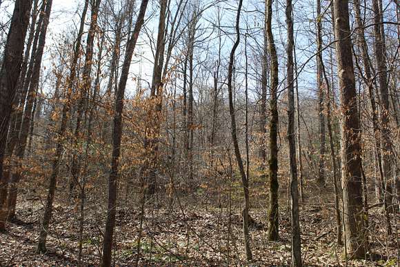 62.3 Acres of Recreational Land for Sale in Pineville, Kentucky