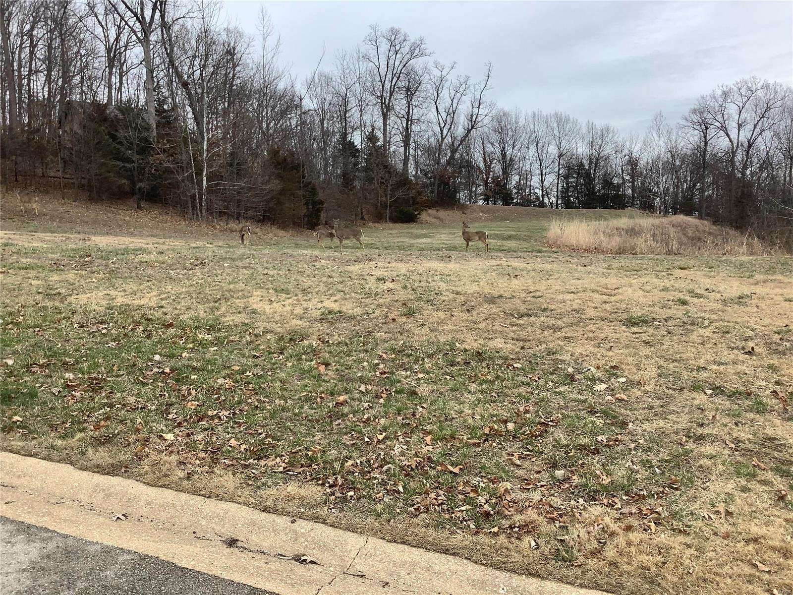 0.78 Acres of Residential Land for Sale in Saint Albans, Missouri
