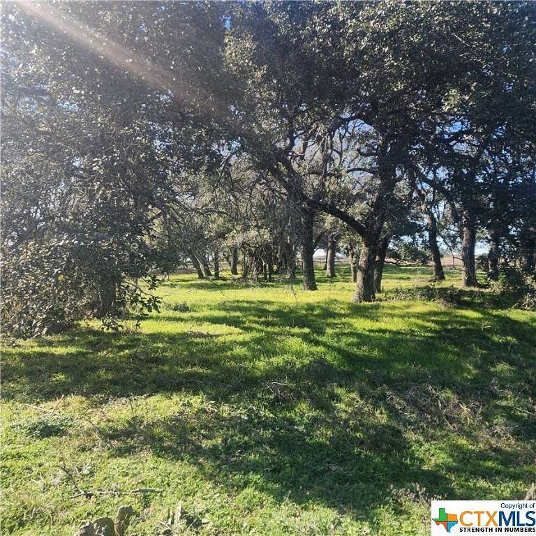 5 Acres of Land for Sale in Oglesby, Texas