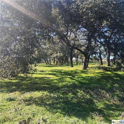 5 Acres of Land for Sale in Oglesby, Texas