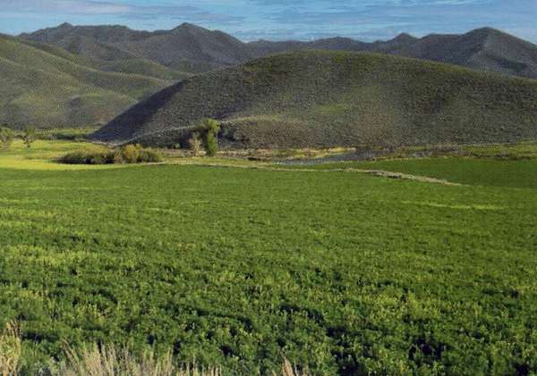 2,739 Acres of Agricultural Land with Home for Sale in Hailey, Idaho