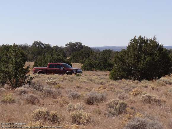 5 Acres of Land for Sale in Pinehill, New Mexico