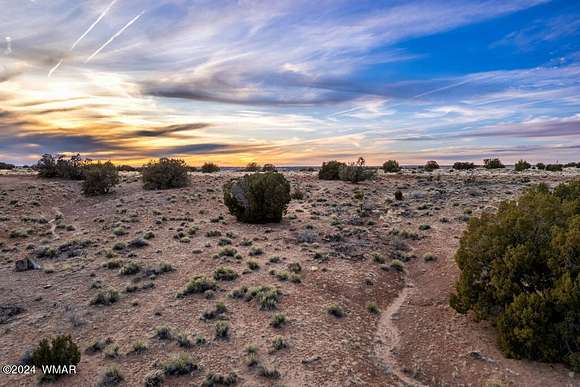 38.7 Acres of Recreational Land for Sale in Concho, Arizona