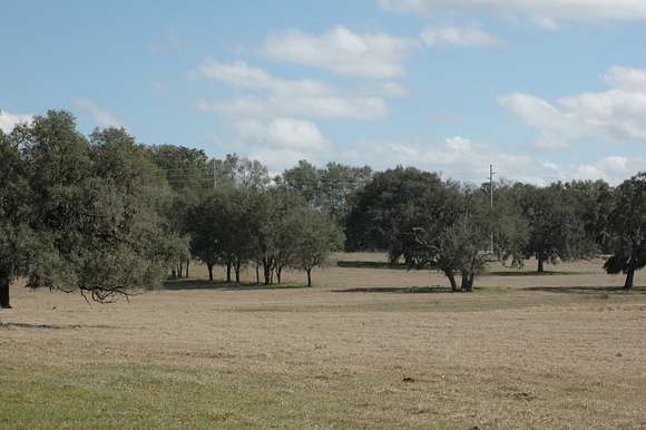 30 Acres of Agricultural Land for Sale in Trilby, Florida