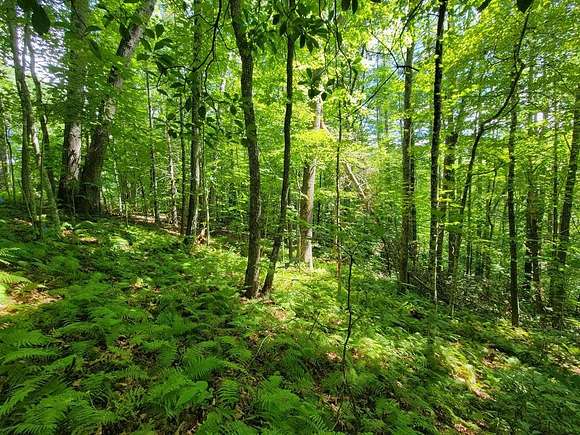 2.52 Acres of Residential Land for Sale in Cullowhee, North Carolina