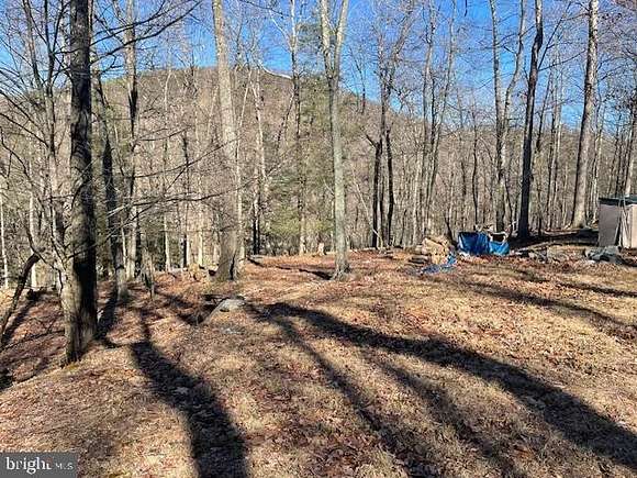 14 Acres of Land for Sale in Mathias, West Virginia