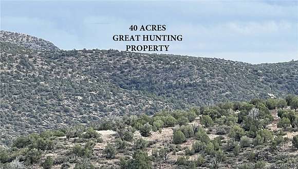 40 Acres of Recreational Land & Farm for Sale in Kingman, Arizona