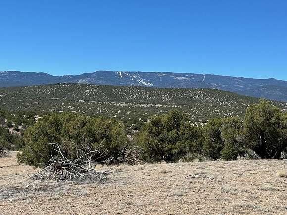 4.3 Acres of Land for Sale in Sandia Park, New Mexico