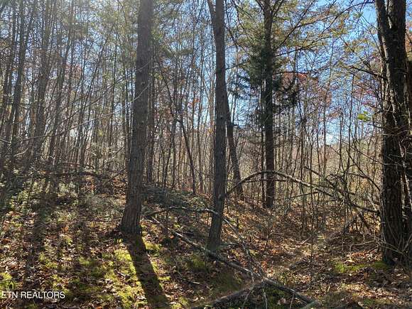 31 Acres of Recreational Land for Sale in La Follette, Tennessee
