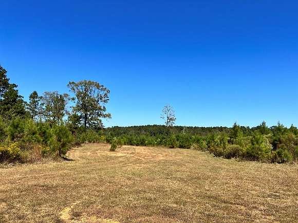 398 Acres of Recreational Land for Sale in Centreville, Mississippi