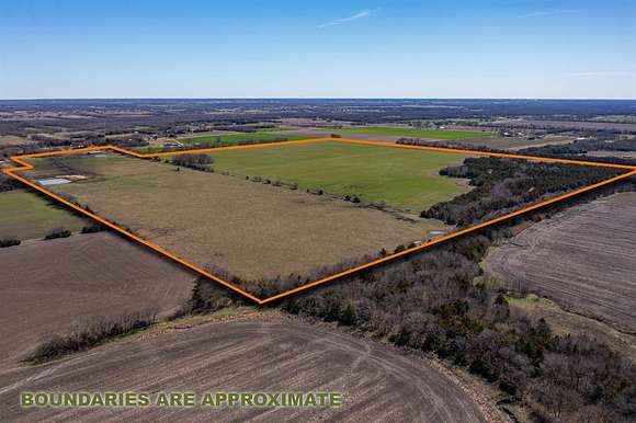 167 Acres of Agricultural Land for Sale in Blue Ridge, Texas