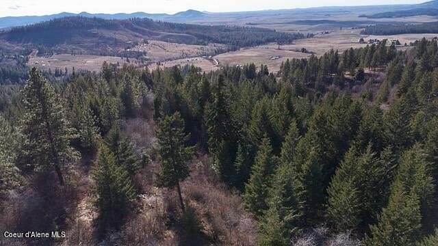 5.5 Acres of Residential Land for Sale in Plummer, Idaho