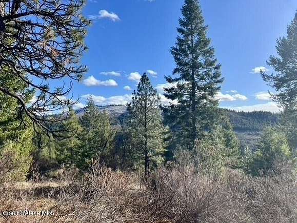 5.5 Acres of Residential Land for Sale in Plummer, Idaho
