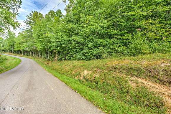 29.8 Acres of Recreational Land for Sale in Wartburg, Tennessee