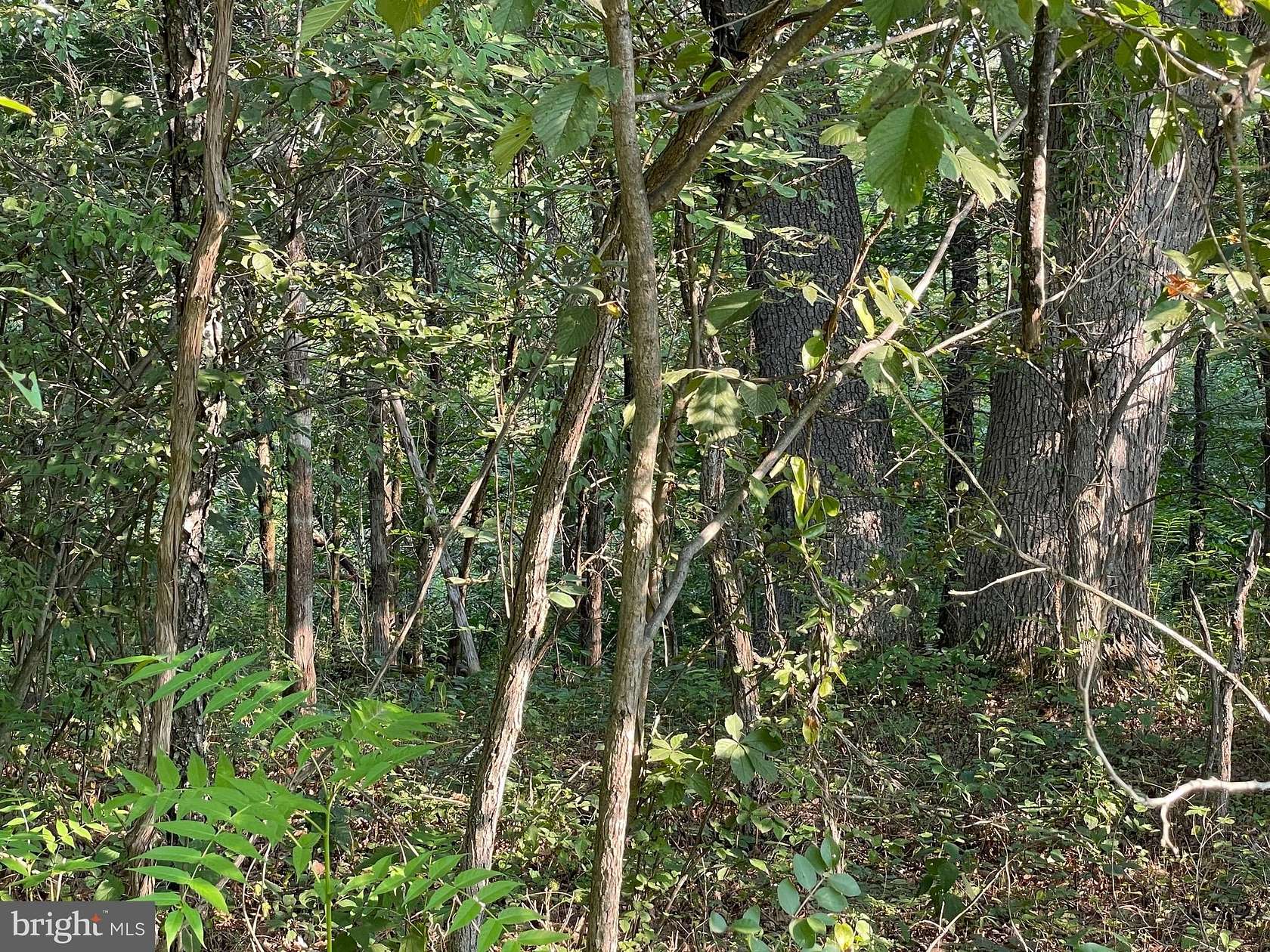 2 Acres of Residential Land for Sale in Springfield, West Virginia