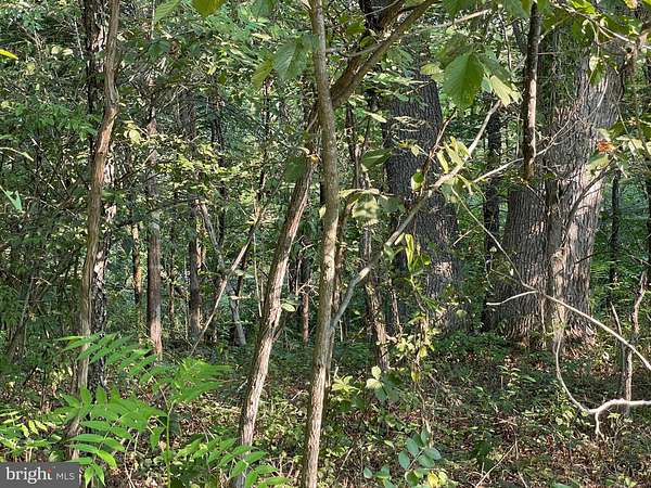 2 Acres of Residential Land for Sale in Springfield, West Virginia