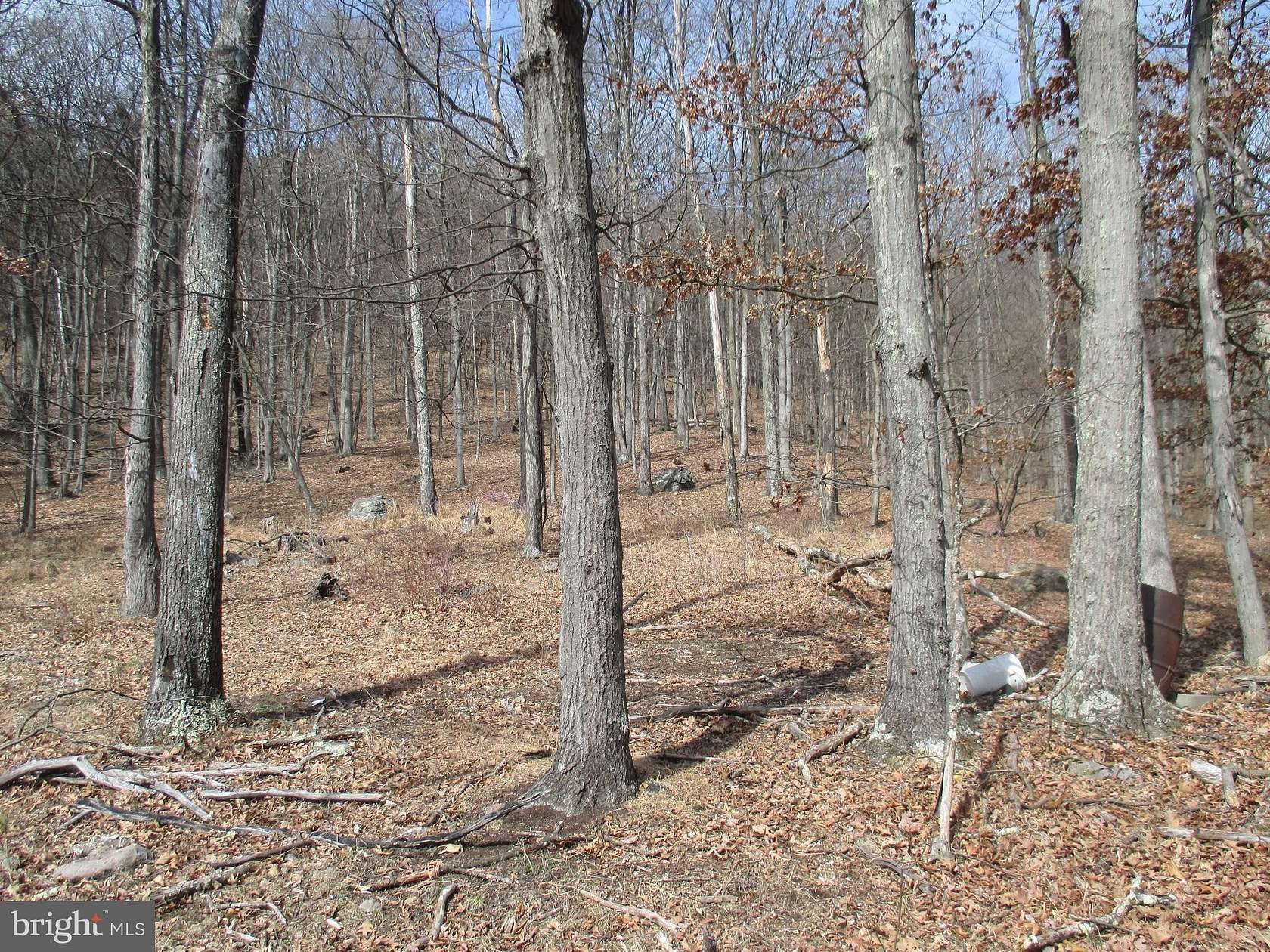 25.2 Acres of Land for Sale in Ridgeley, West Virginia