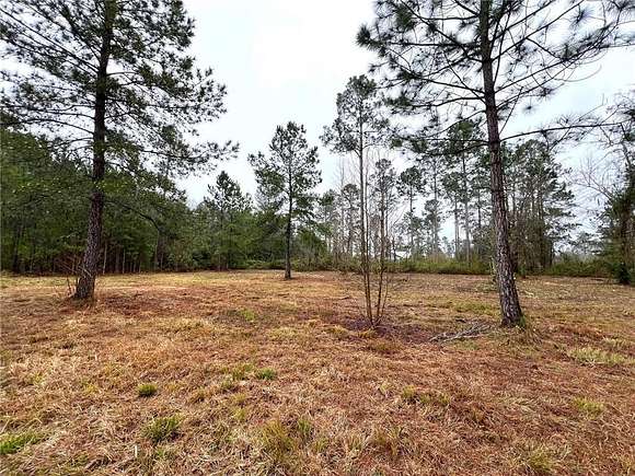 0.68 Acres of Residential Land for Sale in Brunswick, Georgia