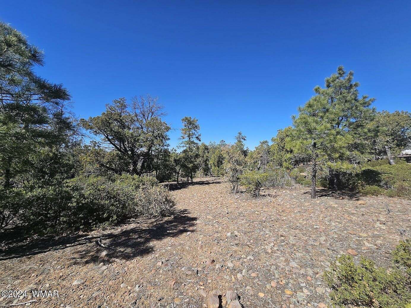 1 Acre of Residential Land for Sale in Show Low, Arizona