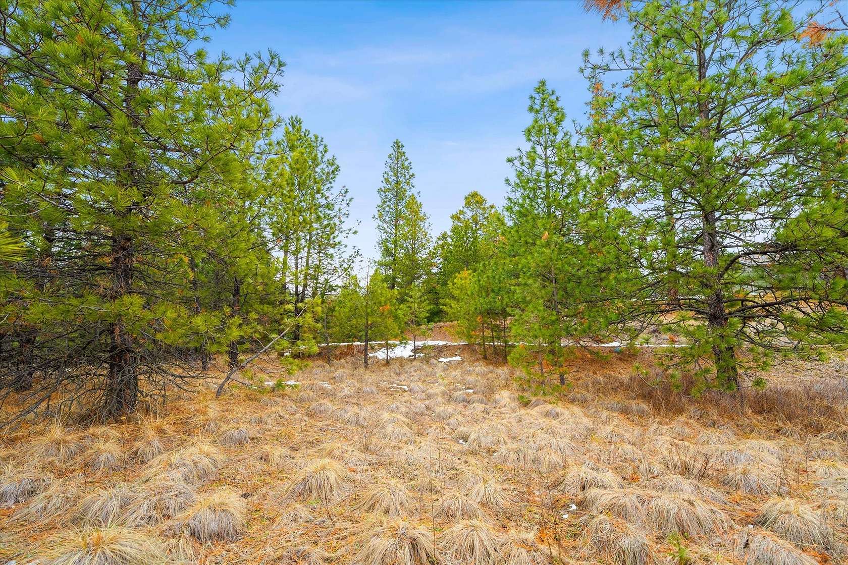 1.31 Acres of Residential Land for Sale in Polson, Montana