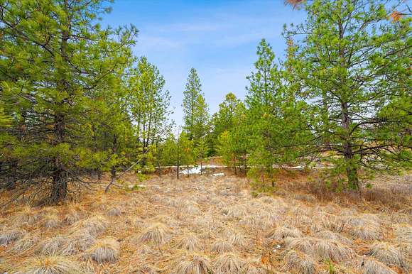 1.31 Acres of Residential Land for Sale in Polson, Montana