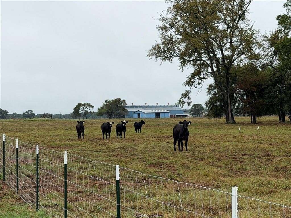 14 Acres of Land for Sale in Centerville, Texas