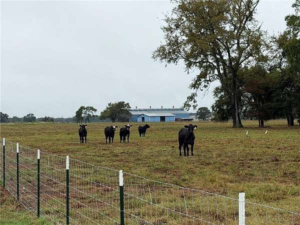 14 Acres of Land for Sale in Centerville, Texas