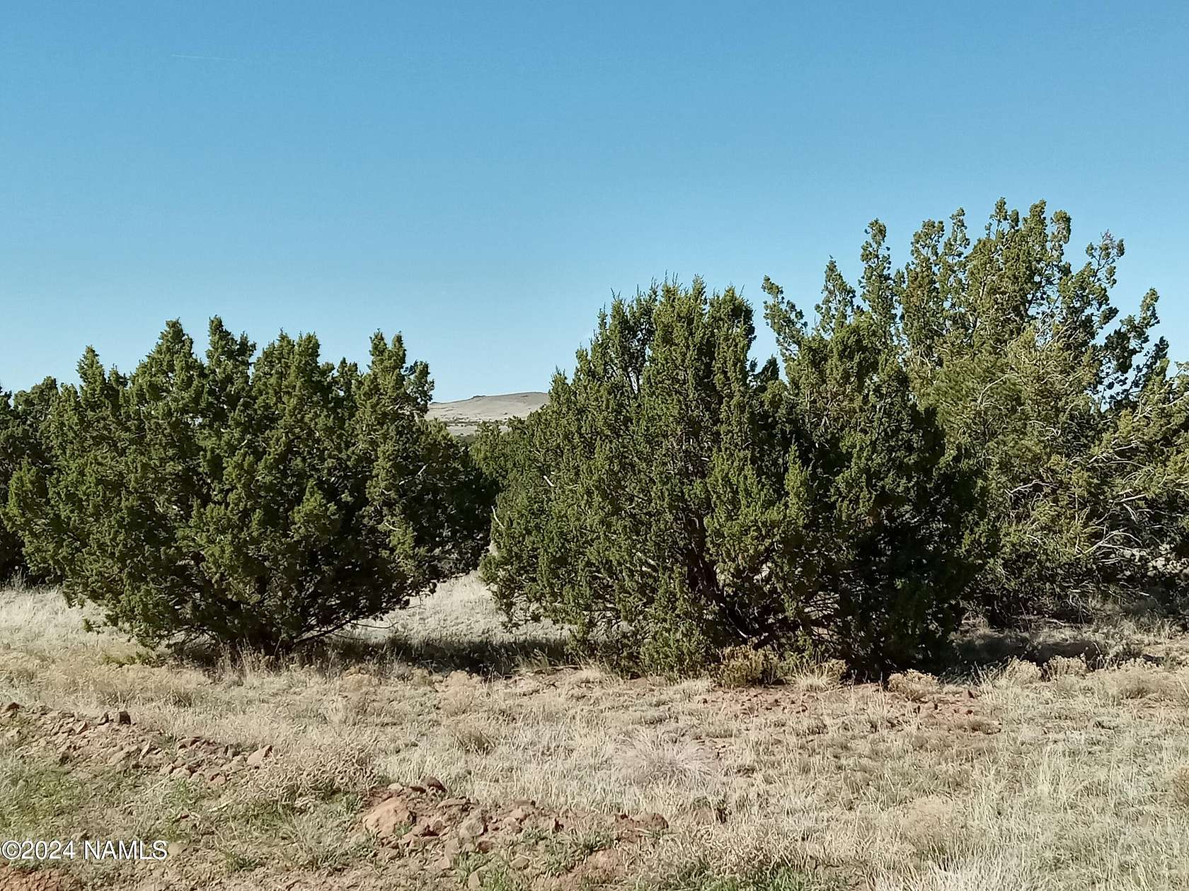 36.1 Acres of Land for Sale in Williams, Arizona