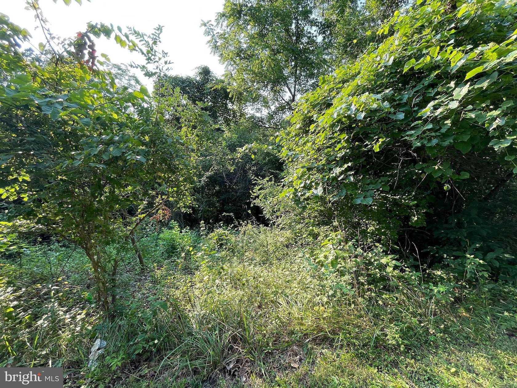 2.14 Acres of Residential Land for Sale in Springfield, West Virginia