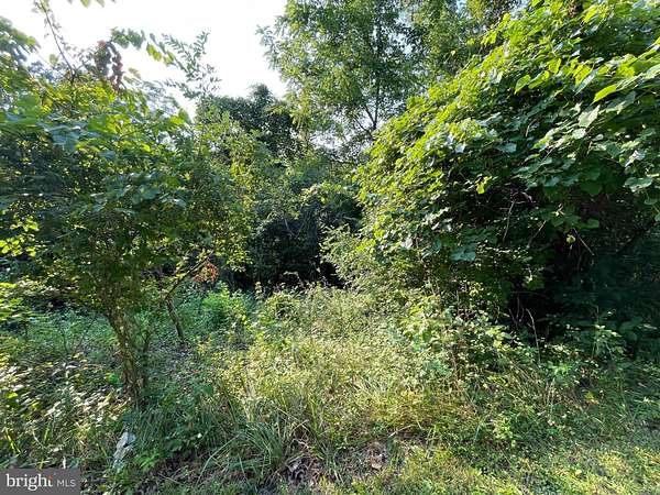 2.14 Acres of Residential Land for Sale in Springfield, West Virginia