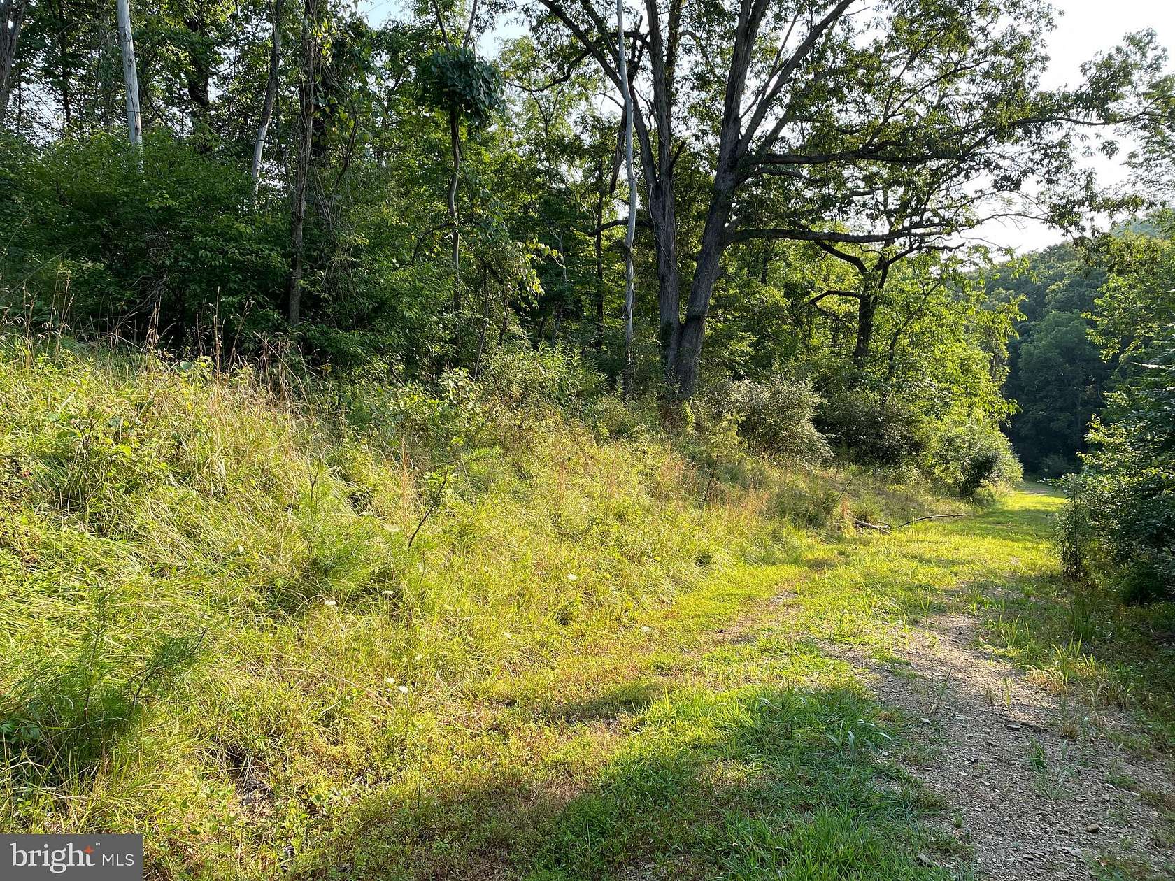 2.4 Acres of Residential Land for Sale in Springfield, West Virginia