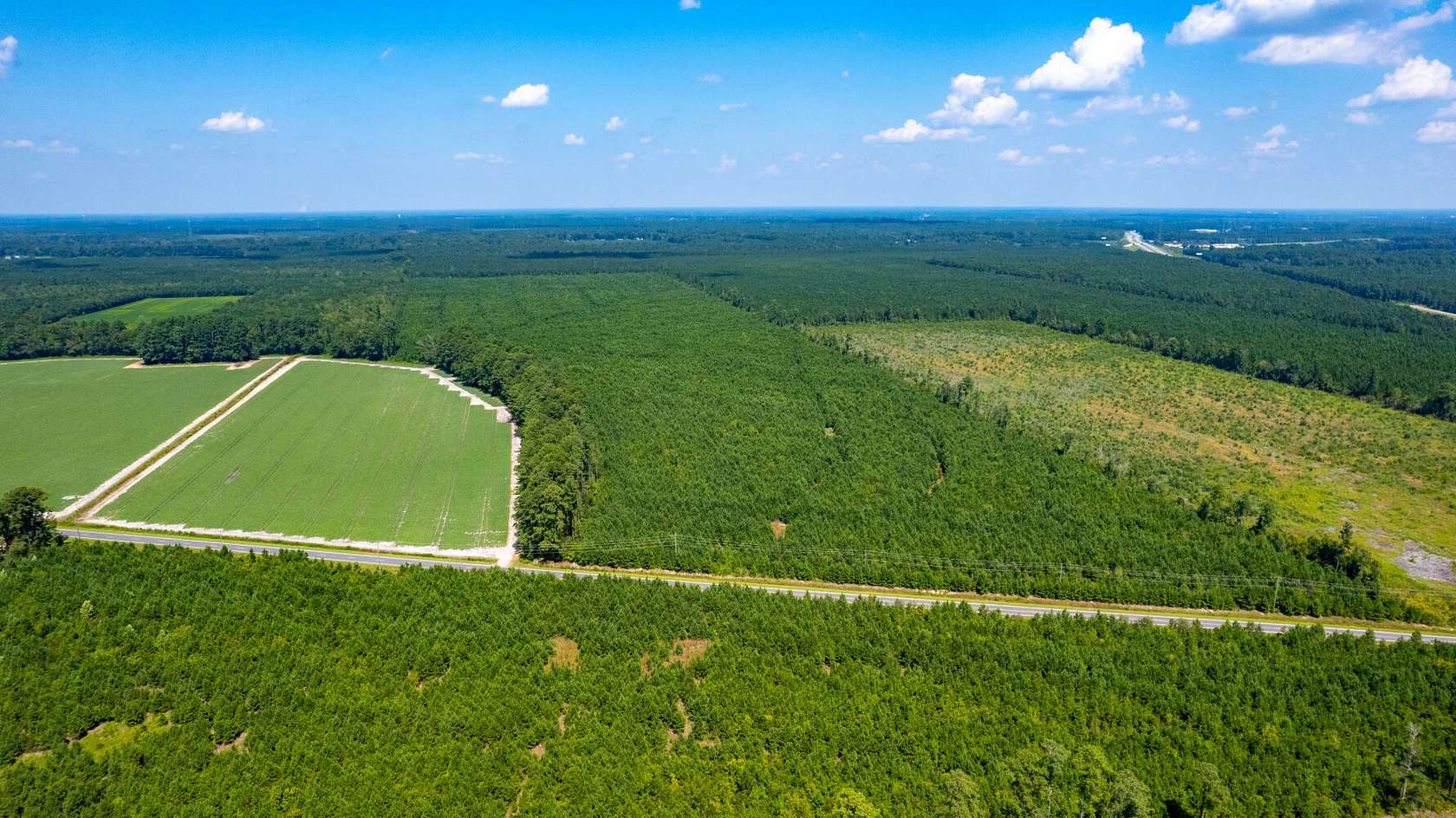 126 Acres of Recreational Land for Sale in Greenville, North Carolina