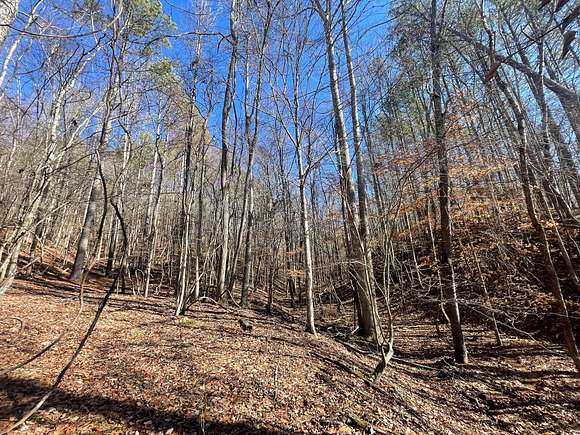 25 Acres of Recreational Land for Sale in Lutts, Tennessee