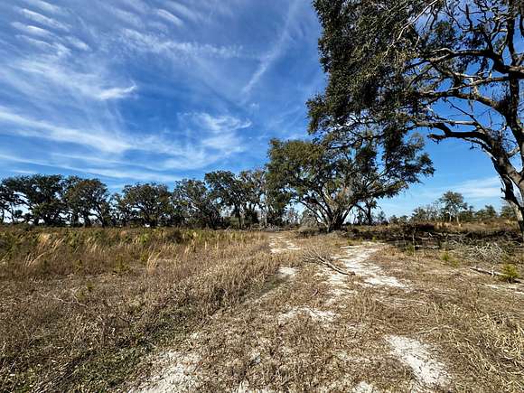 160 Acres of Recreational Land for Sale in Madison, Florida