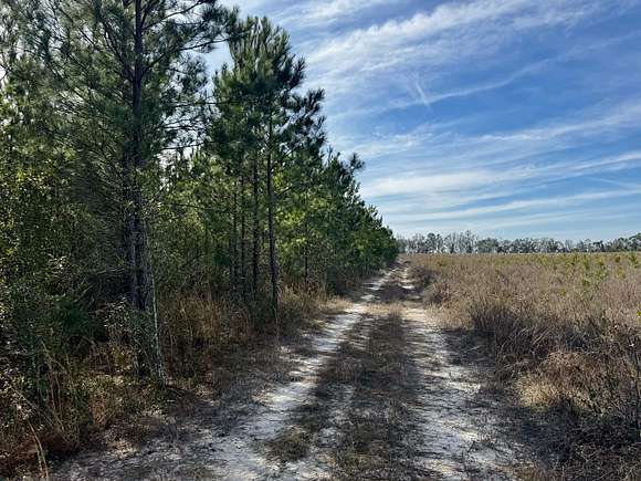 160 Acres of Recreational Land for Sale in Madison, Florida