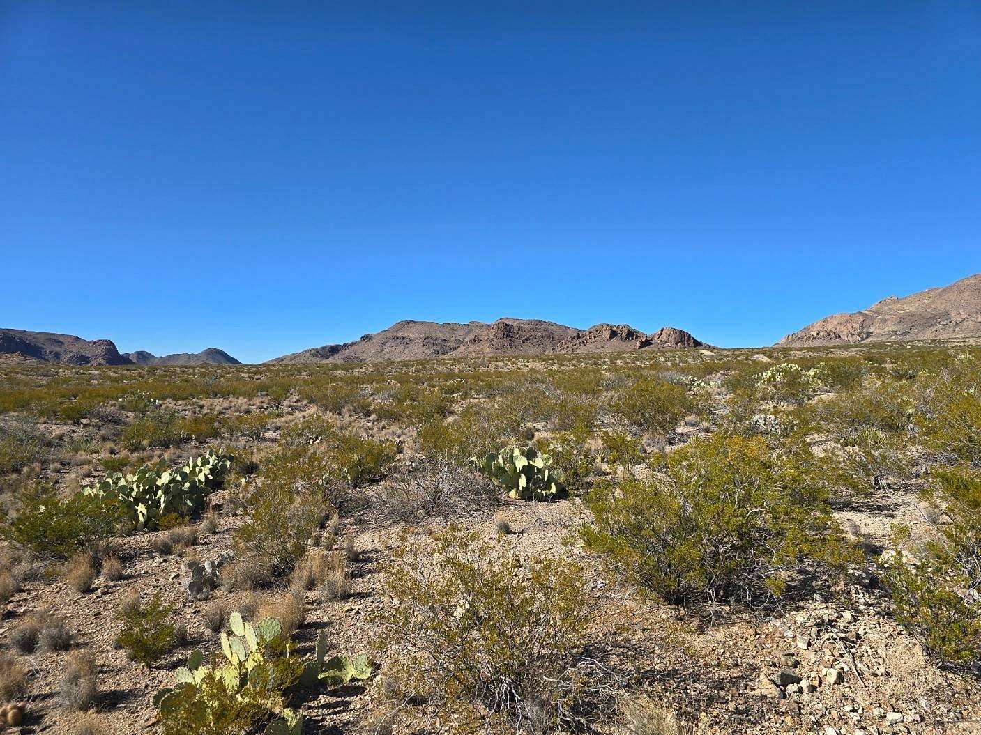 40 Acres of Land for Sale in Alpine, Texas