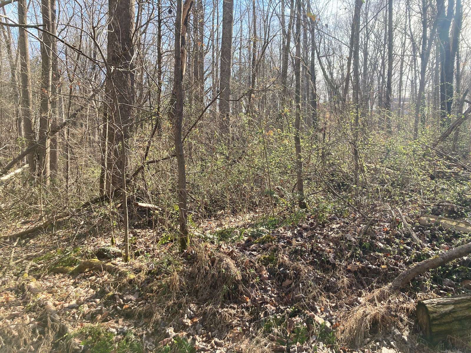 0.3 Acres of Land for Sale in Scottsville, Kentucky