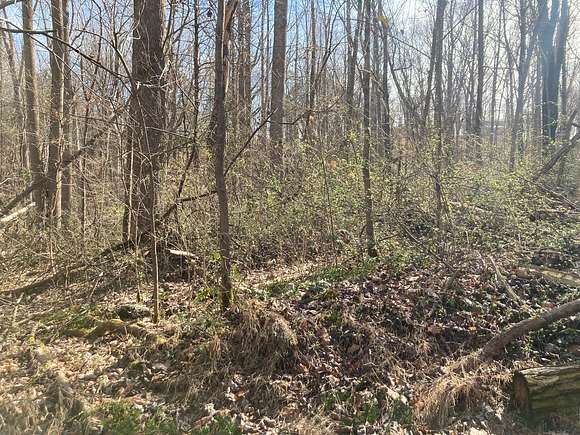 0.31 Acres of Land for Sale in Scottsville, Kentucky