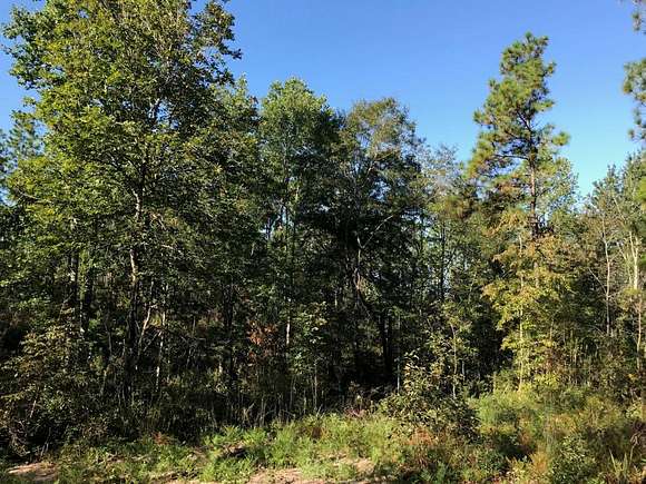 182 Acres of Land for Sale in Purvis, Mississippi
