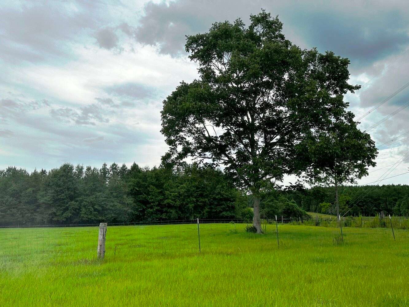 199 Acres of Land for Sale in Poplarville, Mississippi