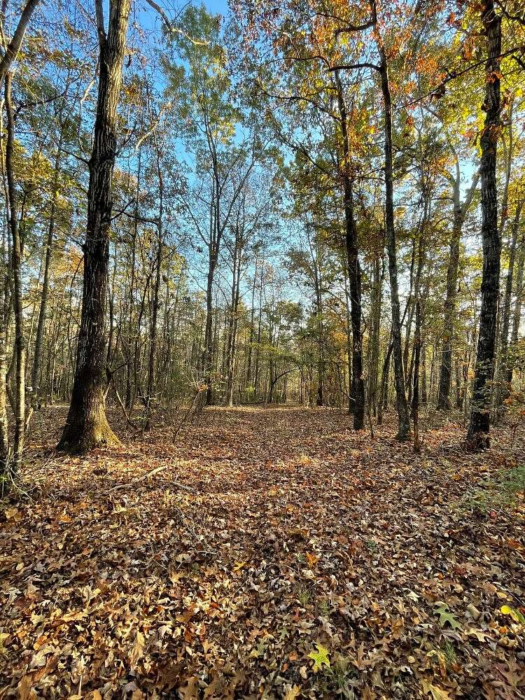 130 Acres of Recreational Land for Sale in Opelika, Alabama