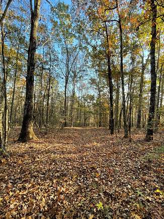 130 Acres of Recreational Land for Sale in Opelika, Alabama