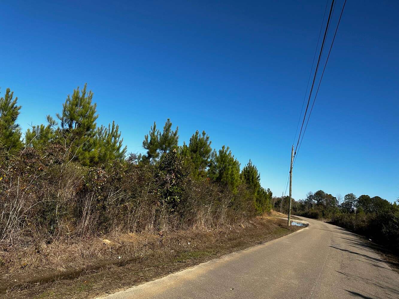 157 Acres of Land for Sale in Beaumont, Mississippi