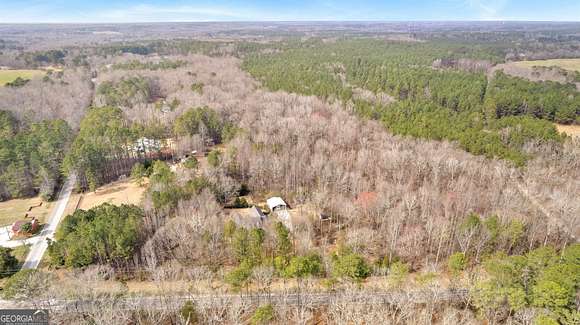 47 Acres of Recreational Land for Sale in Zebulon, Georgia