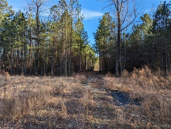 16.2 Acres of Land for Sale in Charles City, Virginia