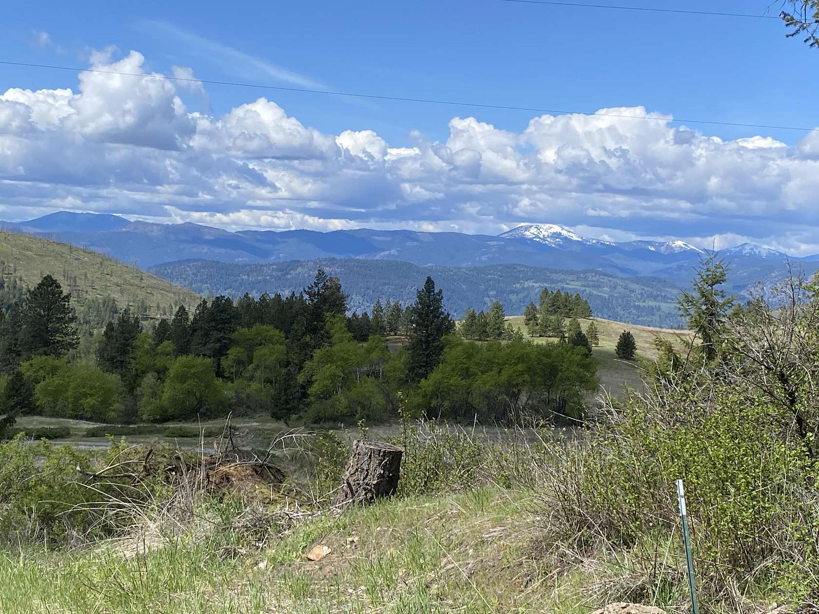 18.06 Acres of Land for Sale in Rice, Washington