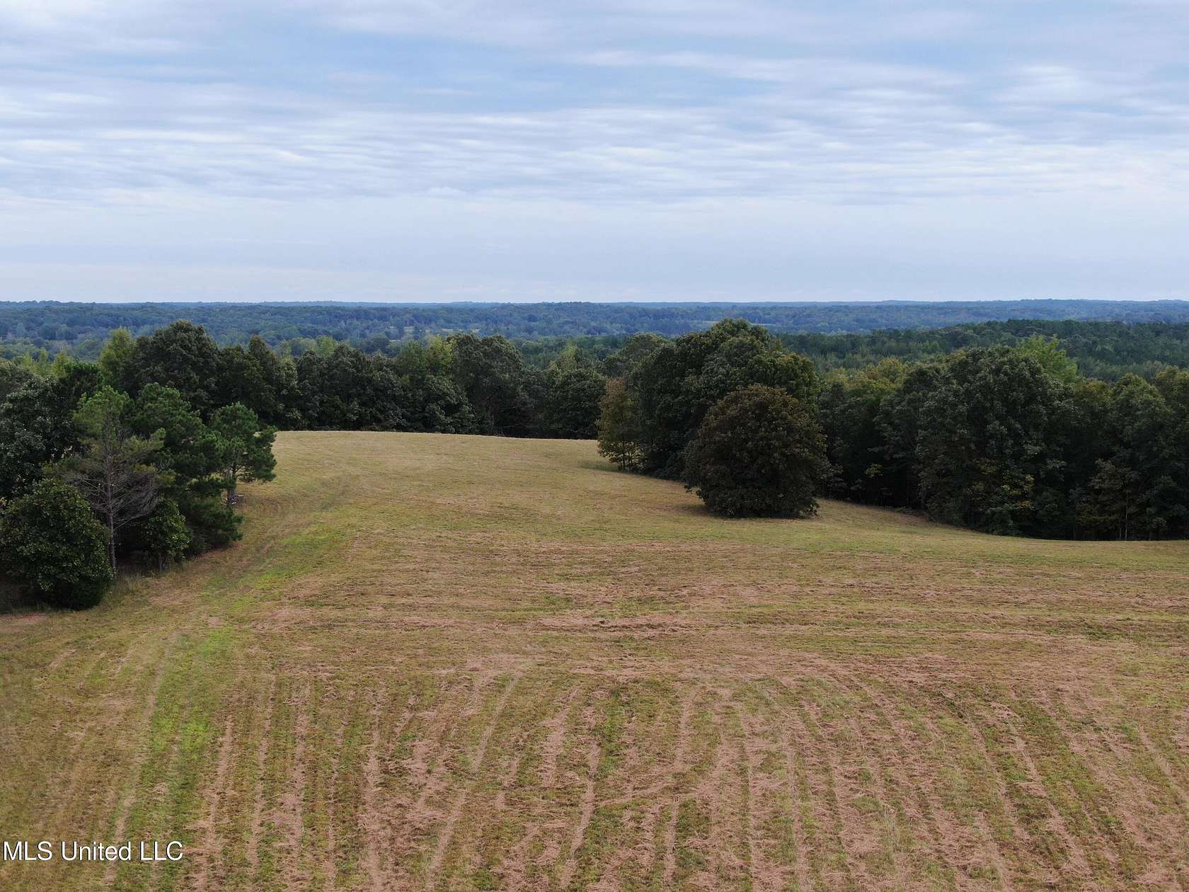 52 Acres of Land for Sale in Lamar, Mississippi